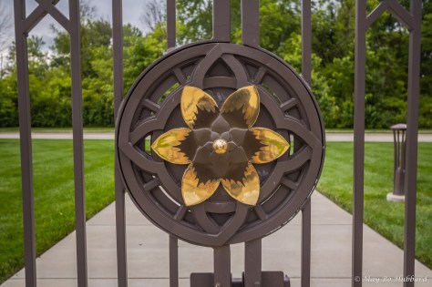 67181560_10156024256061058_5761740280176836608_o